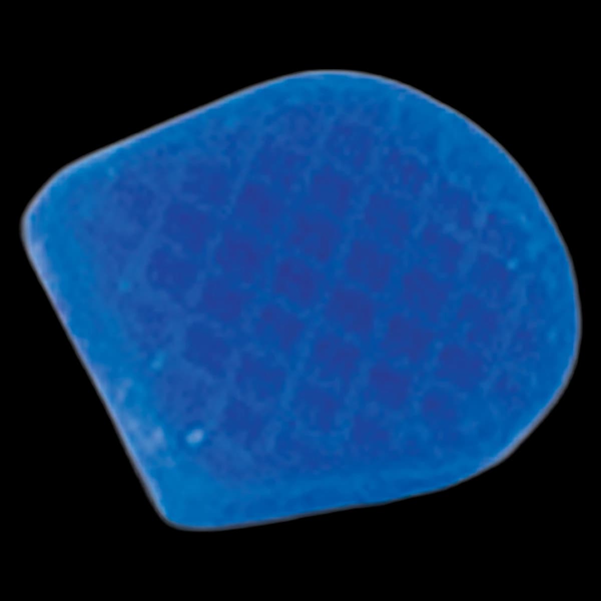 PDT Crown Removing Replacement Tips, Blue, 2/Pkg, T782 - Crown Remover Replacement Tips, Blue - Image 1