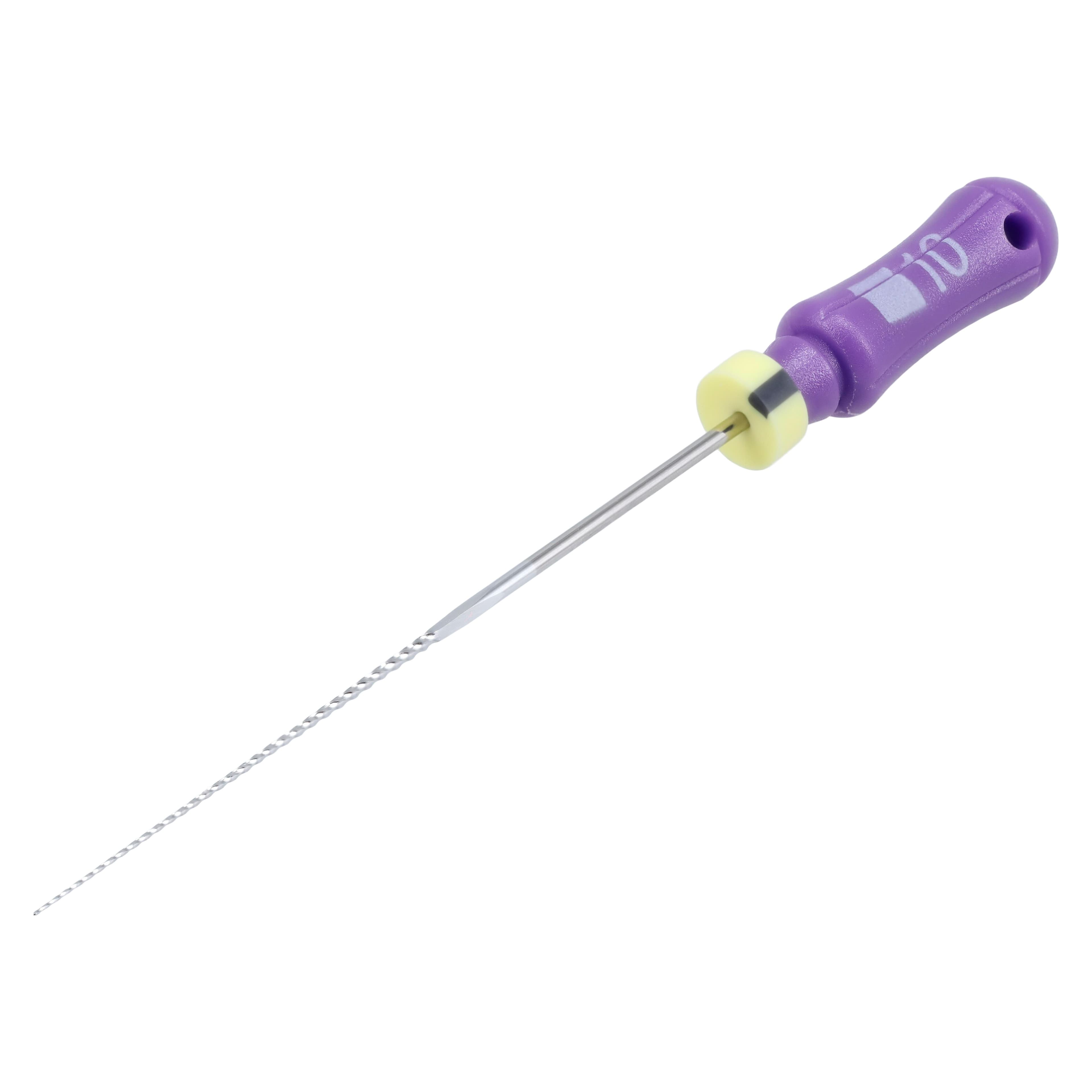 Dentsply Maillefer K-File, Stainless Steel, 31 mm, #10, Purple, 6/Pk, 671161 thumbnail 2