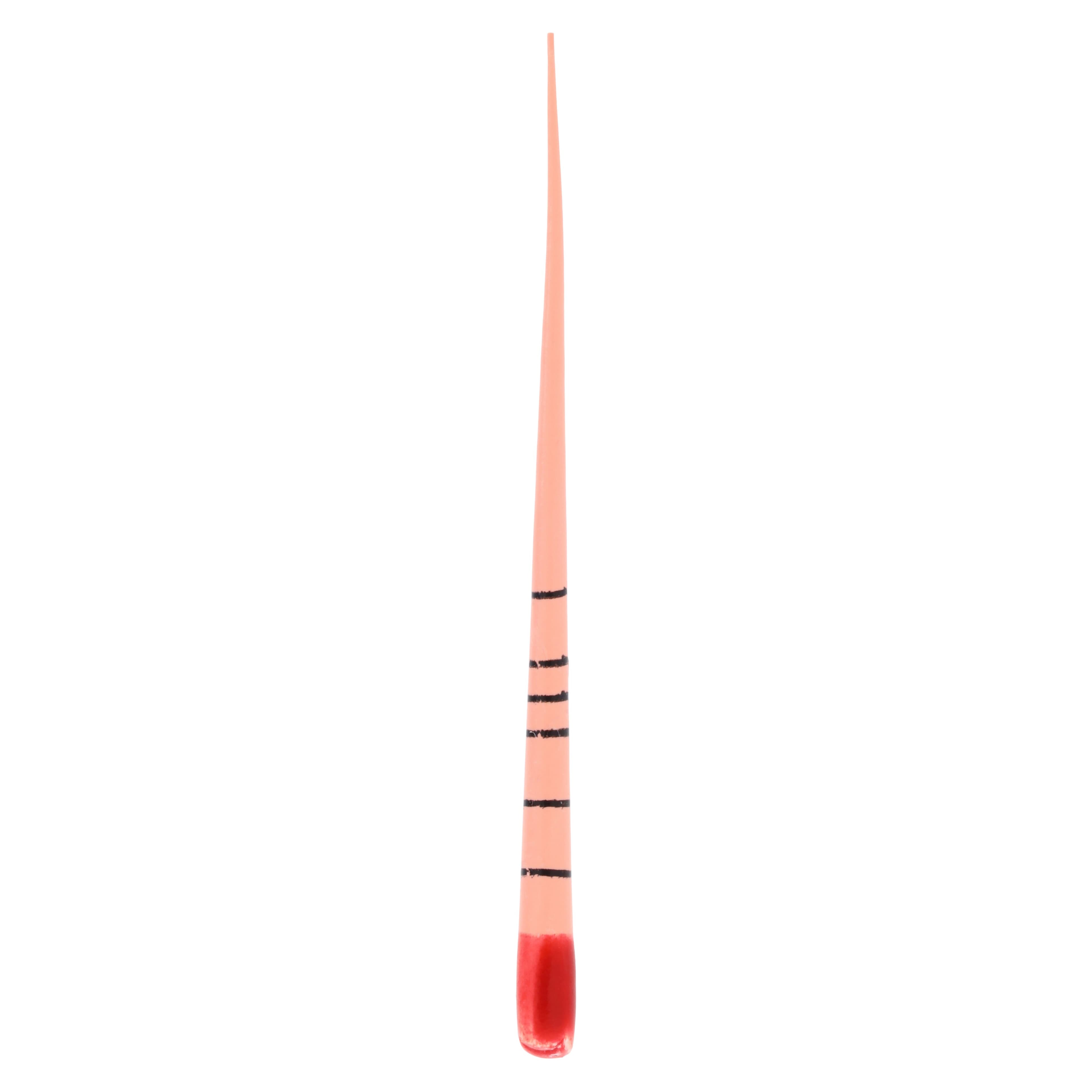 ZenFlex Gutta Percha Points, .06 Taper, Size #25 (0.25), Red, 50/Pack, 825-9625 thumbnail 2