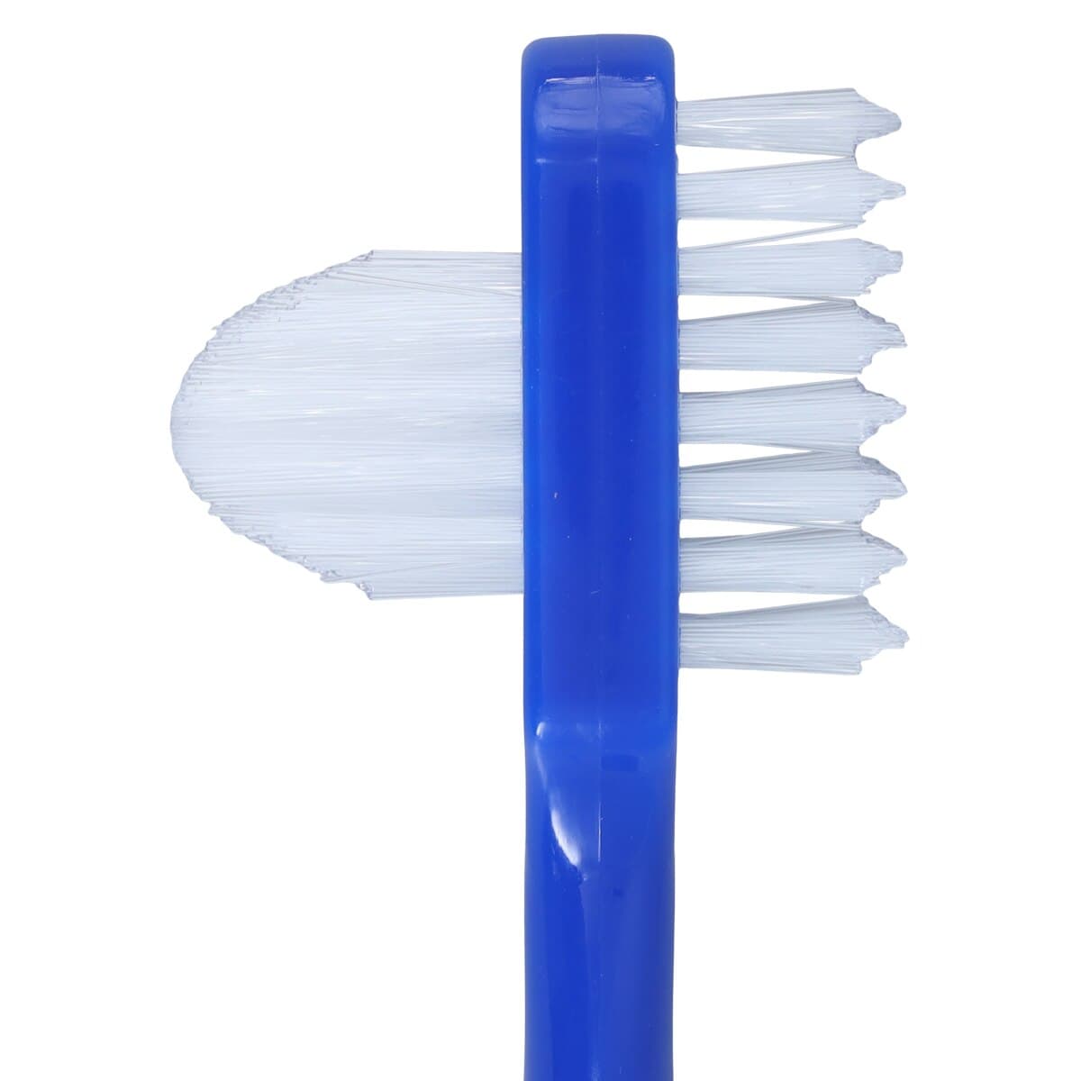Oral-B Denture Brush, Dual Head, 35 Tuft, Blue Handle, 6/Box, 80310196 thumbnail 5
