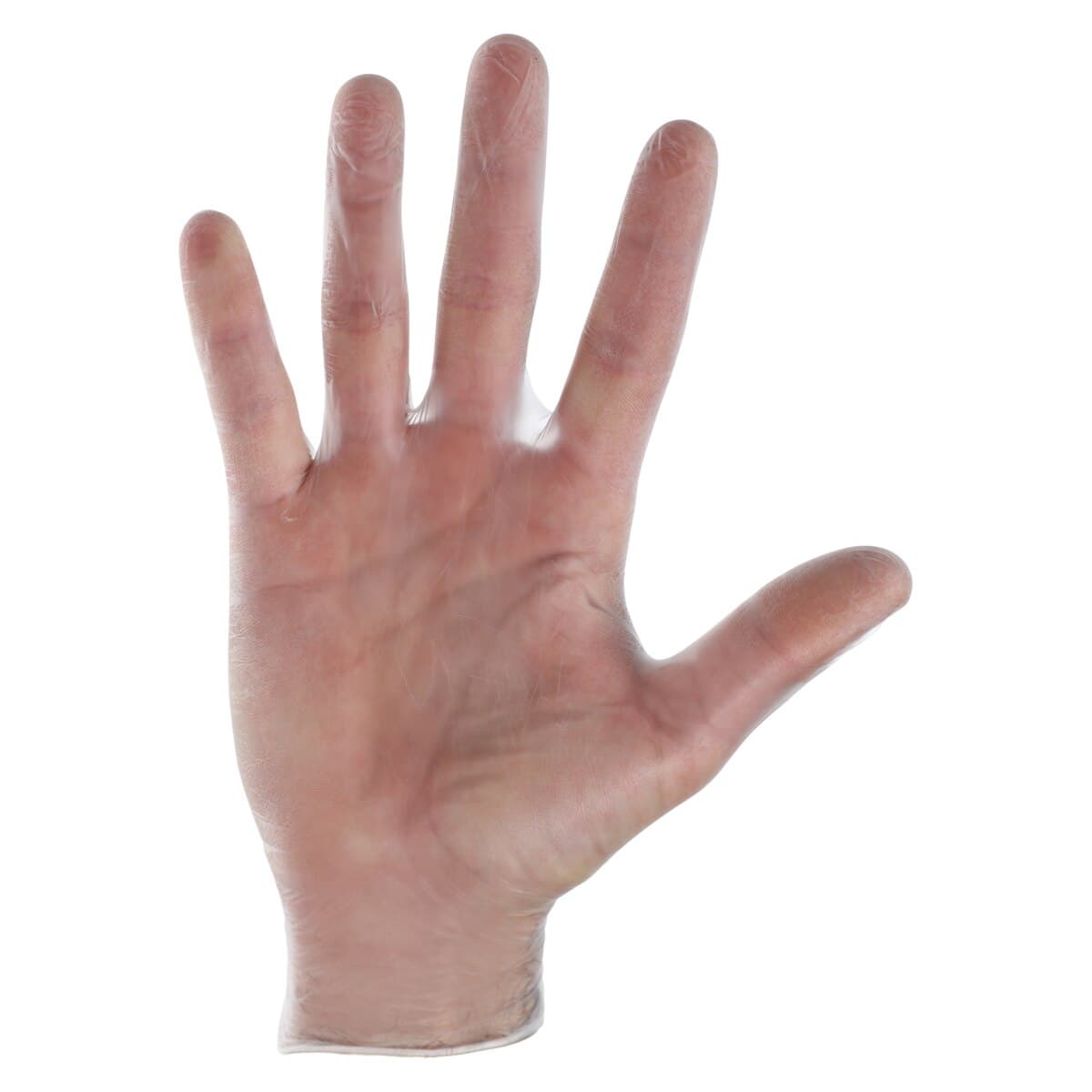 +Ammex Vinyl Exam Gloves, Powder Free, Non-Sterile, Medium, Clear, 100/Box thumbnail 3