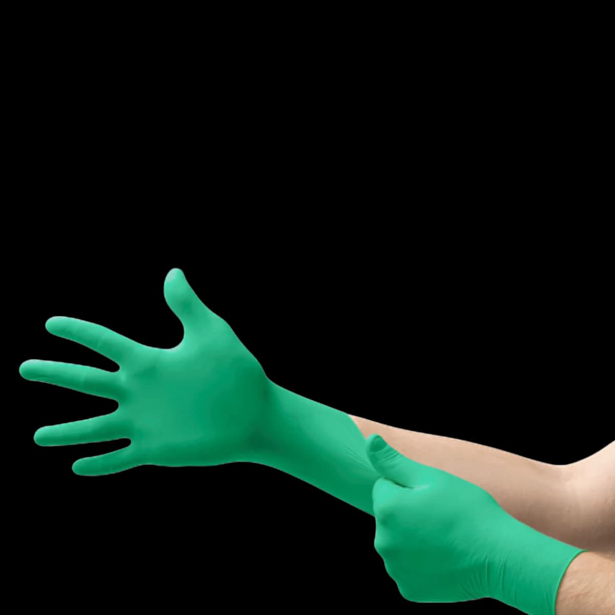 Microflex Neogard Chloroprene Exam Gloves, Powder-Free, Non-Sterile, Green, X-Large, 100/Box, C524 thumbnail 2