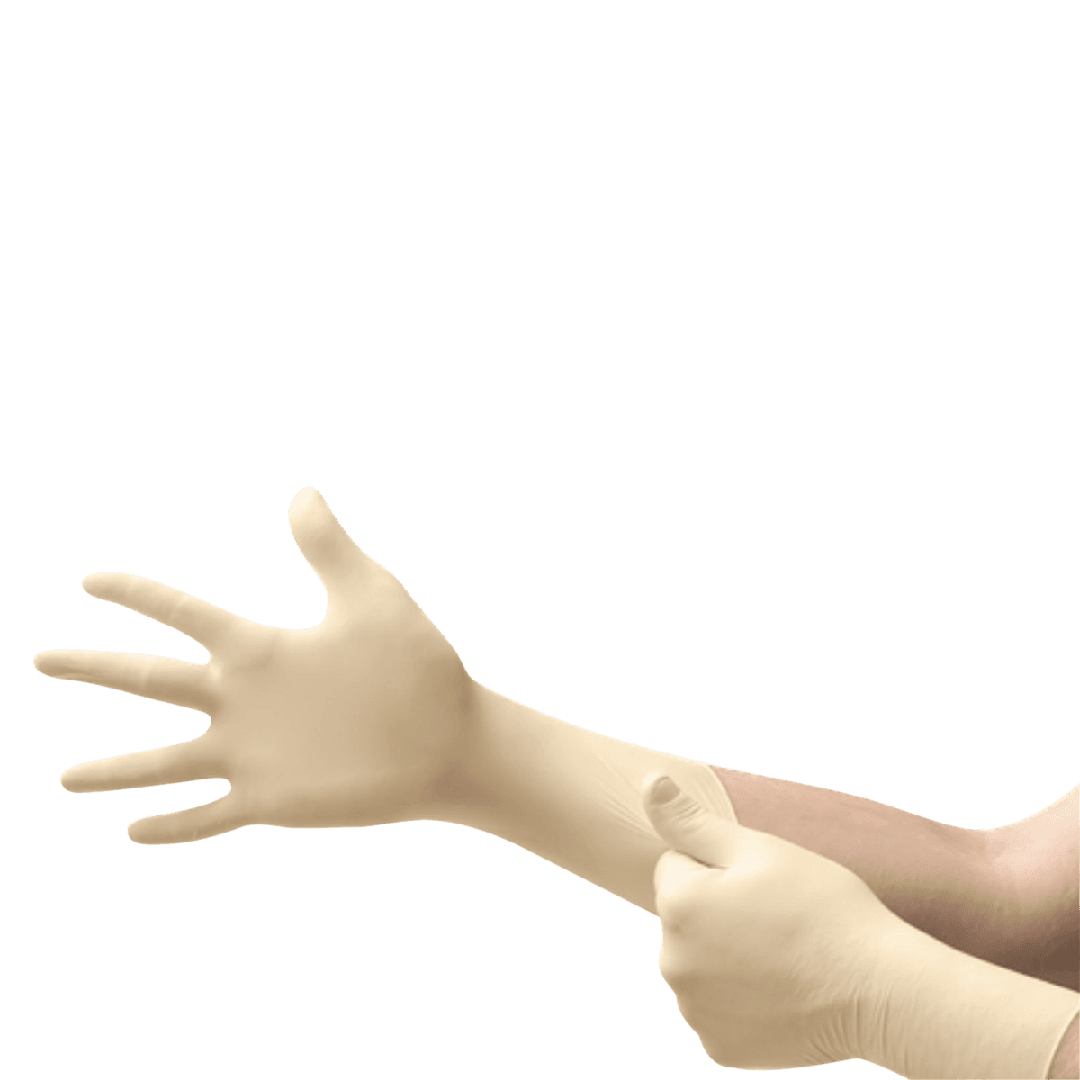 Ultra One Latex Exam Gloves, Powder-Free, Non-Sterile, Small, Natural, Textured, Extended Cuff, 50/Box, UL-315-S thumbnail 2