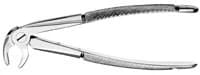 Hu-Friedy FX13 European-Style Serrated Extraction Forceps, Lower Premolars, Stainless Steel, 1 Each - Extraction Forceps - Lower Anteriors and Premolars - 13 European-Style Serrated - Lower Premolars - Image 1