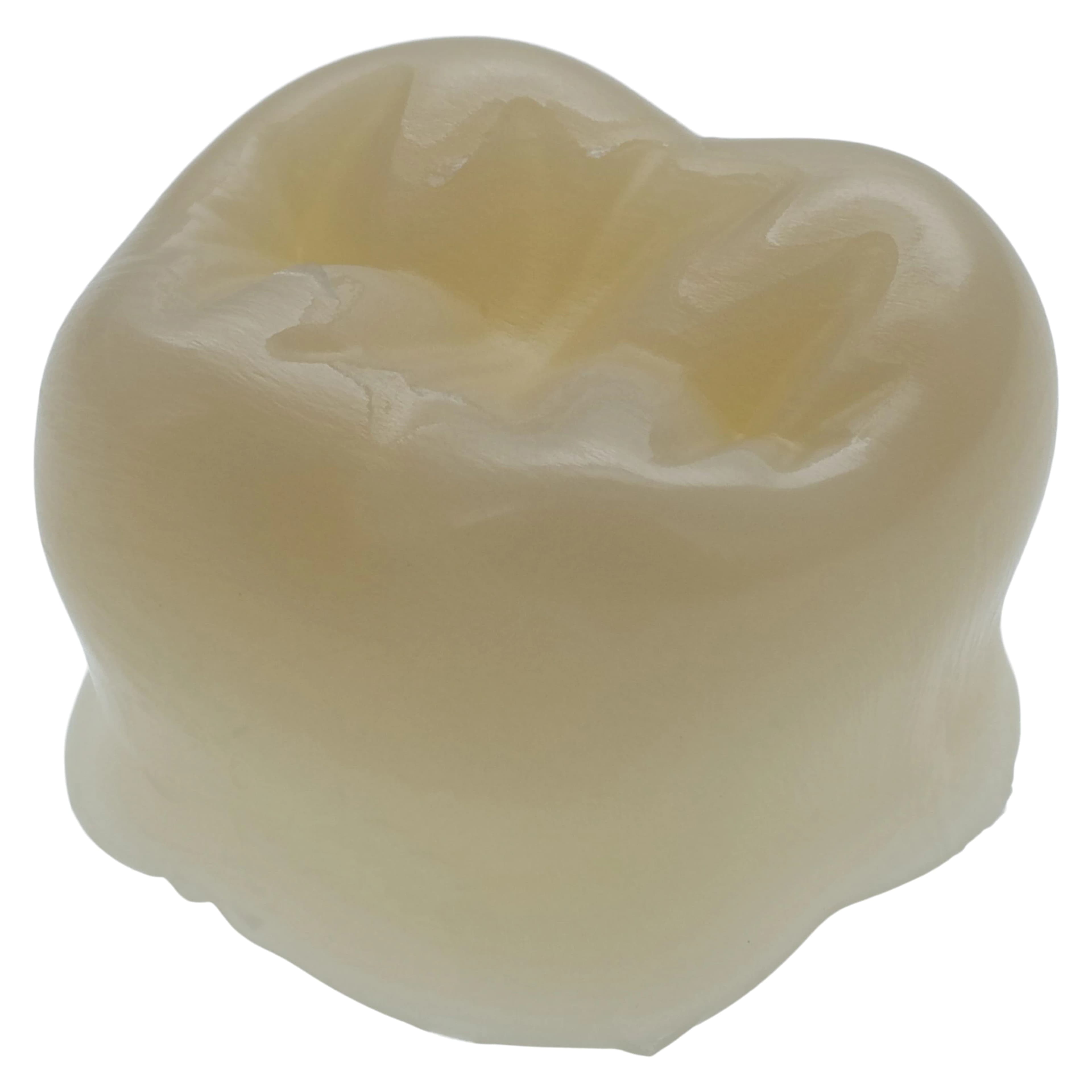 Protemp Crown Temporization Material, Adult Refill, Lower Large Molar, Universal Shade, 5/Pk, 50612 thumbnail 4