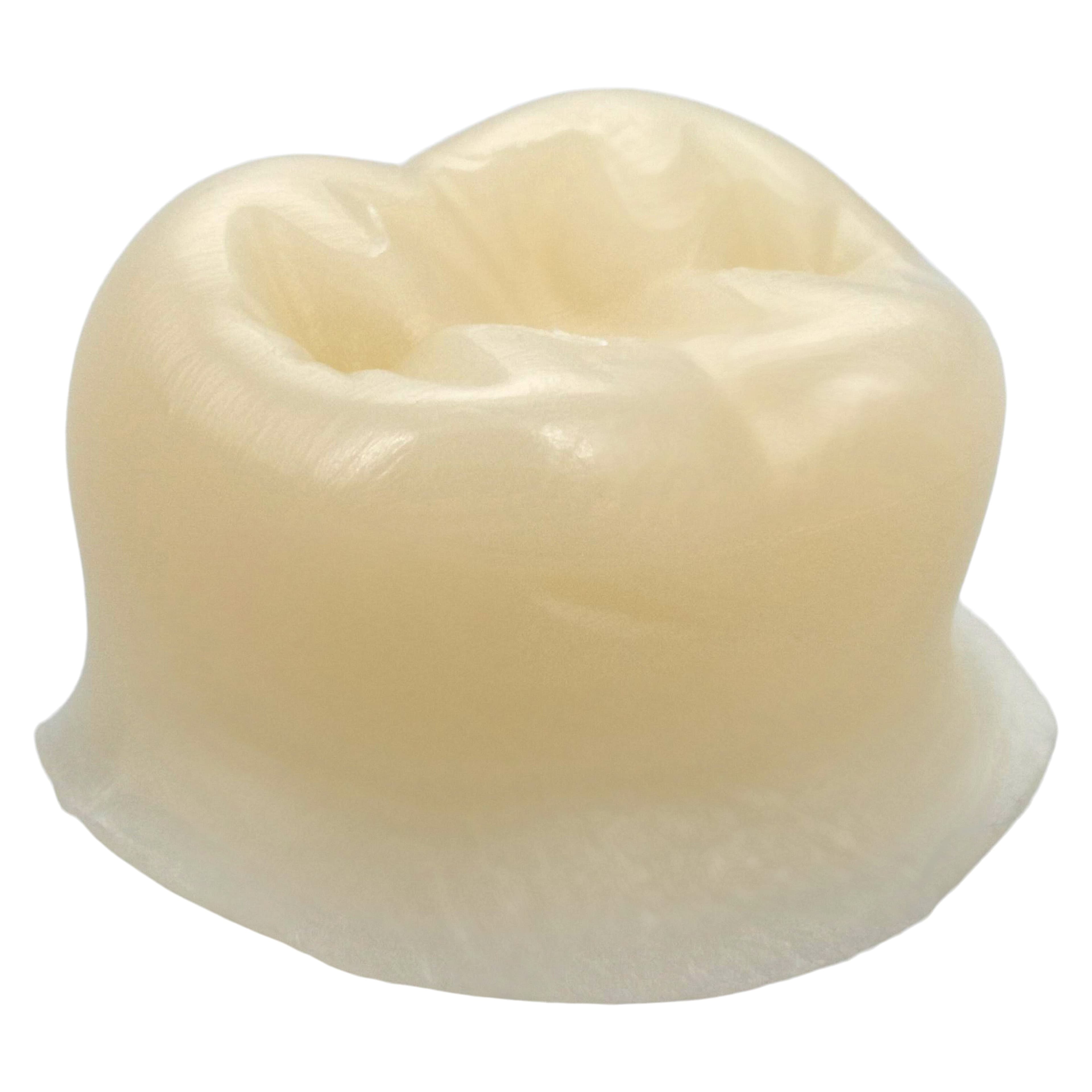 Protemp Crown Temporization Material, Adult Refill, Lower Small Molar, Universal Shade, 5/Pk, 50613 thumbnail 4