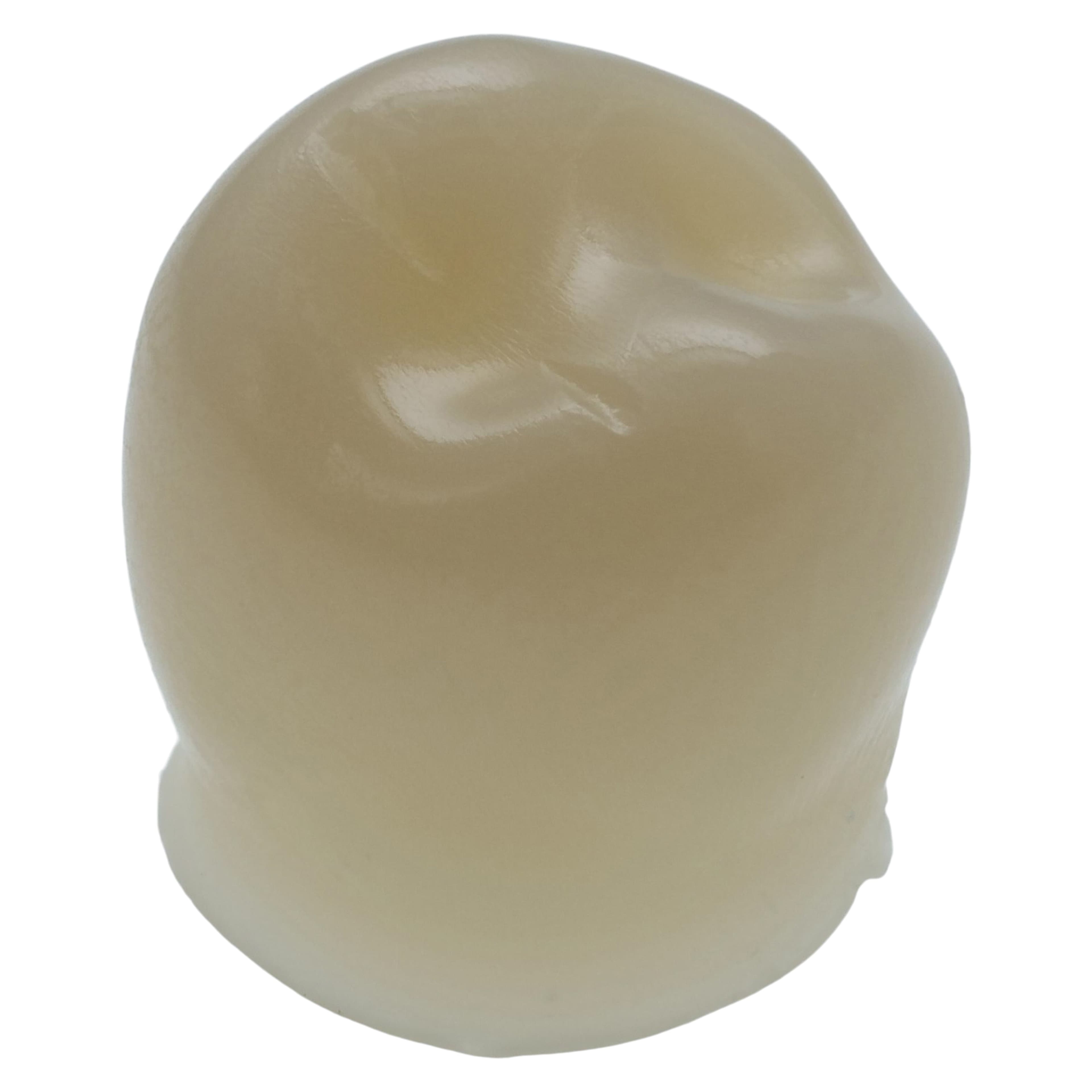 Protemp Crown Temporization Material, Adult Refill, Lower Bicuspid, Universal Shade, 5/Pk, 50616 thumbnail 4