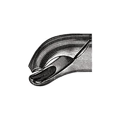 Hu-Friedy #17 Harris Extracting Forceps, Lower First & Second Molars, Stainless Steel, F17 thumbnail 9