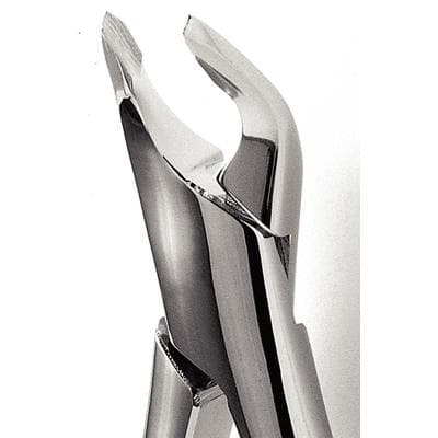Hu-Friedy Presidential Series #151 Apical Extraction Forceps, Lower Universal, FAF151 thumbnail 11