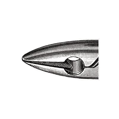 Hu-Friedy Presidential Extraction Forceps, Standard #1, Upper Incisors and Canines, 1 Each, F1 thumbnail 11
