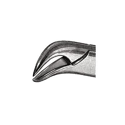 Hu-Friedy 16S Pediatric Extraction Forceps, Thumb Hook, Lower Molars, Stainless Steel, F16S thumbnail 9