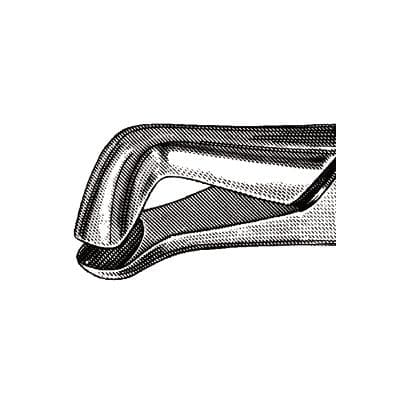 Nordent #222 Lower Universal Third Molar Extraction Forceps, Stainless Steel, American Pattern thumbnail 5