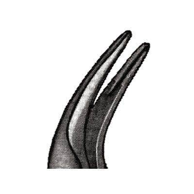 Hu-Friedy Presidential Root Forceps, Serrated, #300, Upper Roots, 1/Pk, F300 thumbnail 17