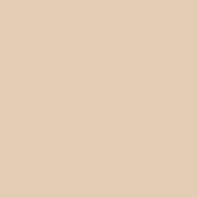 Dispos-A-Screen Disposable Vacuum Traps, Plastic, Beige, 2-7/8", 144/Pk, 51Z060V thumbnail 12
