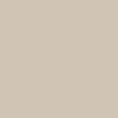 Zirc Dispos-A-Screen Cuspidor Screens, Large Universal, Gray, 2-1/2", 144/Pk, 51Z205V thumbnail 13