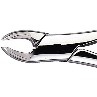 Nordent Cryer #151 Lower Universal Extraction Forceps, Stainless Steel, FE151 thumbnail 6