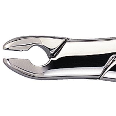 Nordent #151AS Lower Universal Anatomical Extraction Forceps, Serrated, Stainless Steel, 1/Pk thumbnail 7
