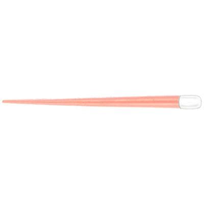 K3/K3XF Gutta Percha Points, 0.06 Taper, #45, White, 25 mm, 50/Pk, 825-0645 thumbnail 11