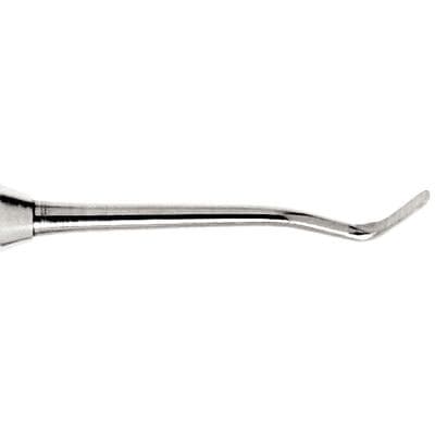 Nordent WACD Cleoid/Discoid Modified Carver, Double End, Standard Handle, Stainless Steel, 1/Pkg thumbnail 2