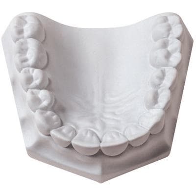 Whip Mix Mounting Plaster, Pre-weighed 100g Envelopes, Fast Set, White, 100/Pack, #15550 thumbnail 9