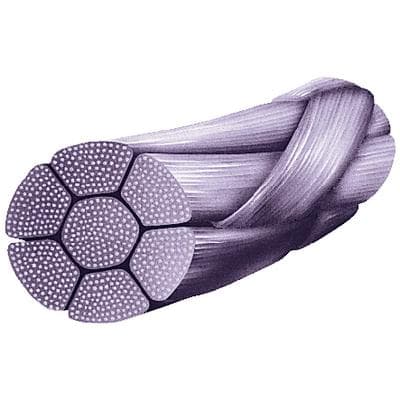Look PolySyn PGA Absorbable Braided Suture, Undyed, 4-0, 10 in (25 cm), C-17 Reverse Cutting Needle, 12 mm 3/8 Circle, 12/Box, 386B thumbnail 9