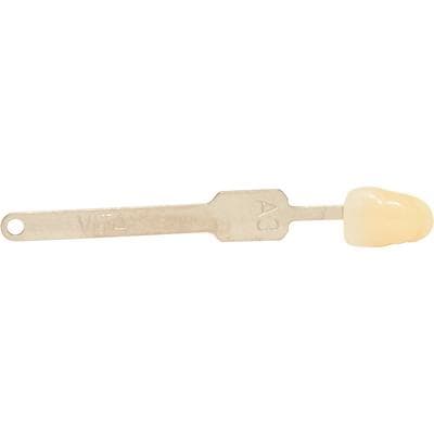VITA Classical Shade Guide Tab Refill, Shade A3, 1 Each thumbnail 6