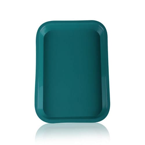 Plasdent Flat Set-Up Tray, Size F (Mini), Teal, Plastic, 9-5/8" x 6-5/8" x 7/8", 300FM14 - Plasdent Flat Tray, Size F (Mini) - Teal, Plastic, 9-5/8" x 6-5/8" x 7/8" - Image 1