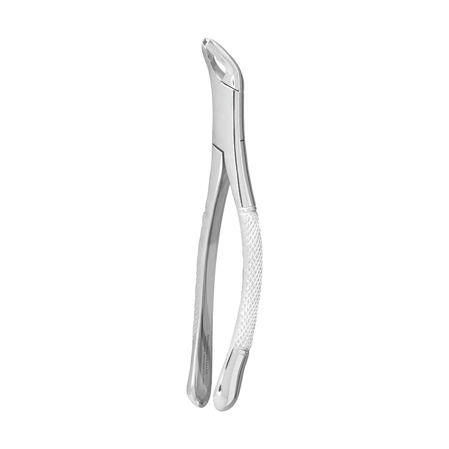 Nordent #151AS Lower Universal Anatomical Extraction Forceps, Serrated, Stainless Steel, 1/Pk thumbnail 3
