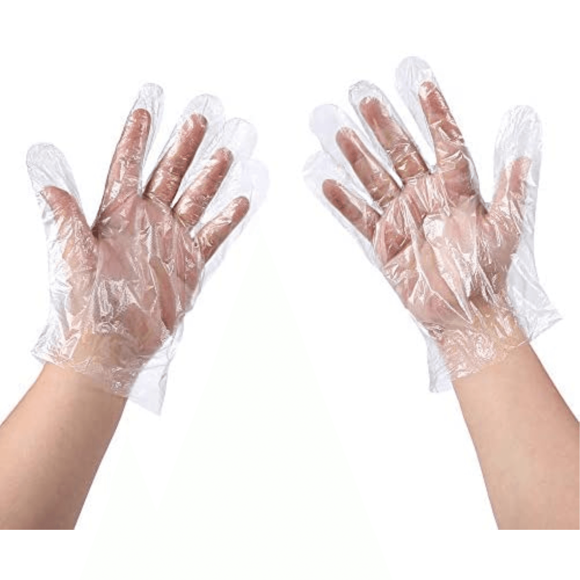 Latindo® Disposable Plastic Overgloves, Medium, Clear, Ambidextrous, 100/Box, 900LX-M thumbnail 3