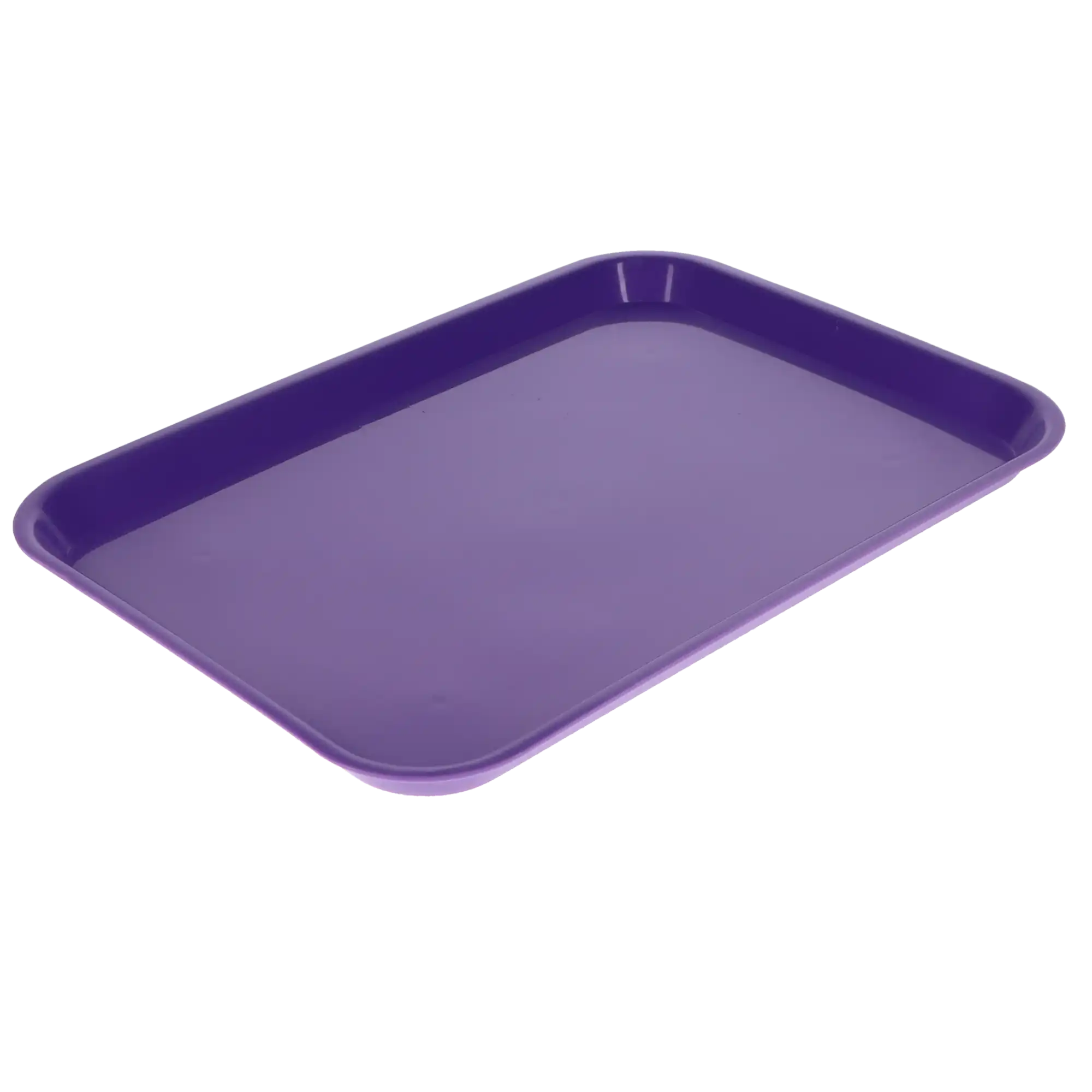 Plasdent Set-Up Plastic Flat Tray, Size B, Neon Purple, 13-1/2" x 9-5/8" x 7/8", Autoclavable, 1/Pk, 300BFS-10 thumbnail 4