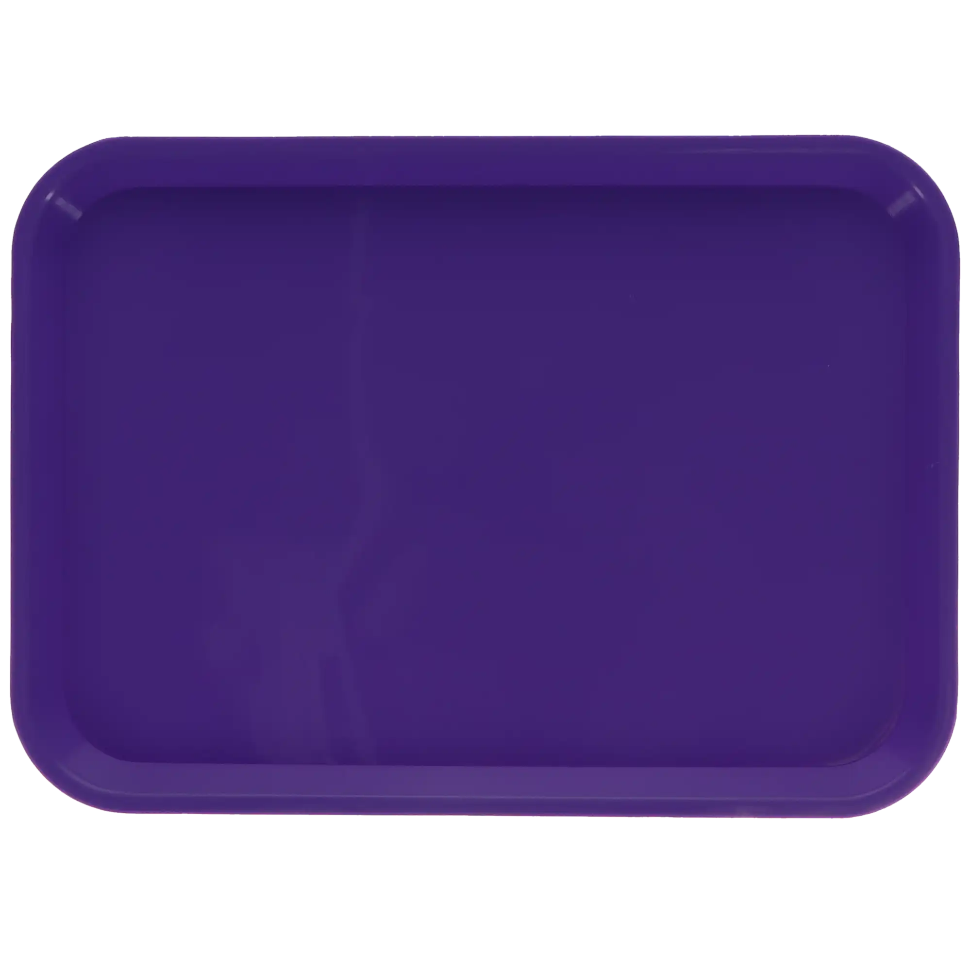 Plasdent Set-Up Plastic Flat Tray, Size B, Neon Purple, 13-1/2" x 9-5/8" x 7/8", Autoclavable, 1/Pk, 300BFS-10 thumbnail 6