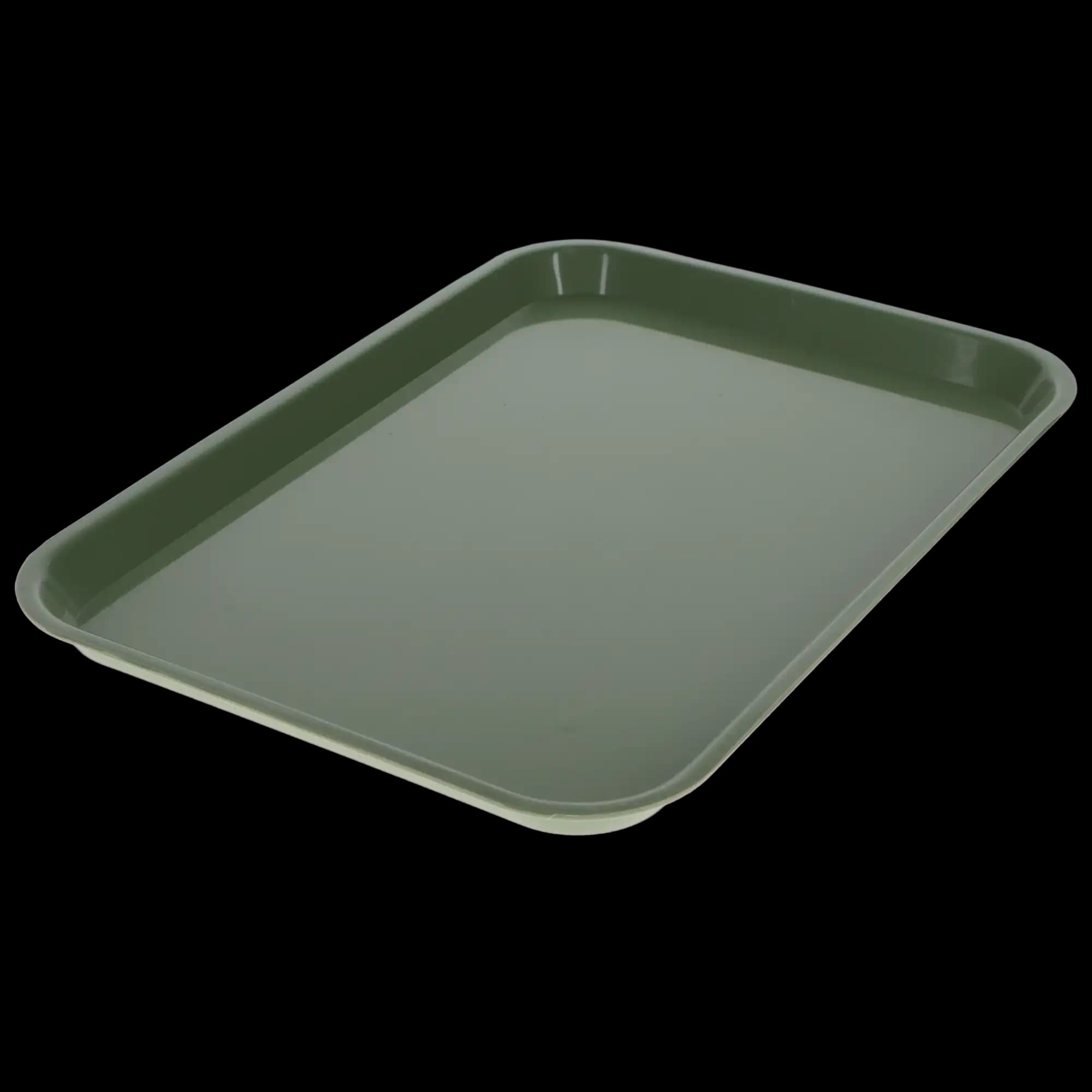 Plasdent Set-Up Flat Tray, Size B (Ritter), Green, Plastic, 13-1/2" x 9-5/8" x 7/8", 1/Pk, 300BF-4 thumbnail 2
