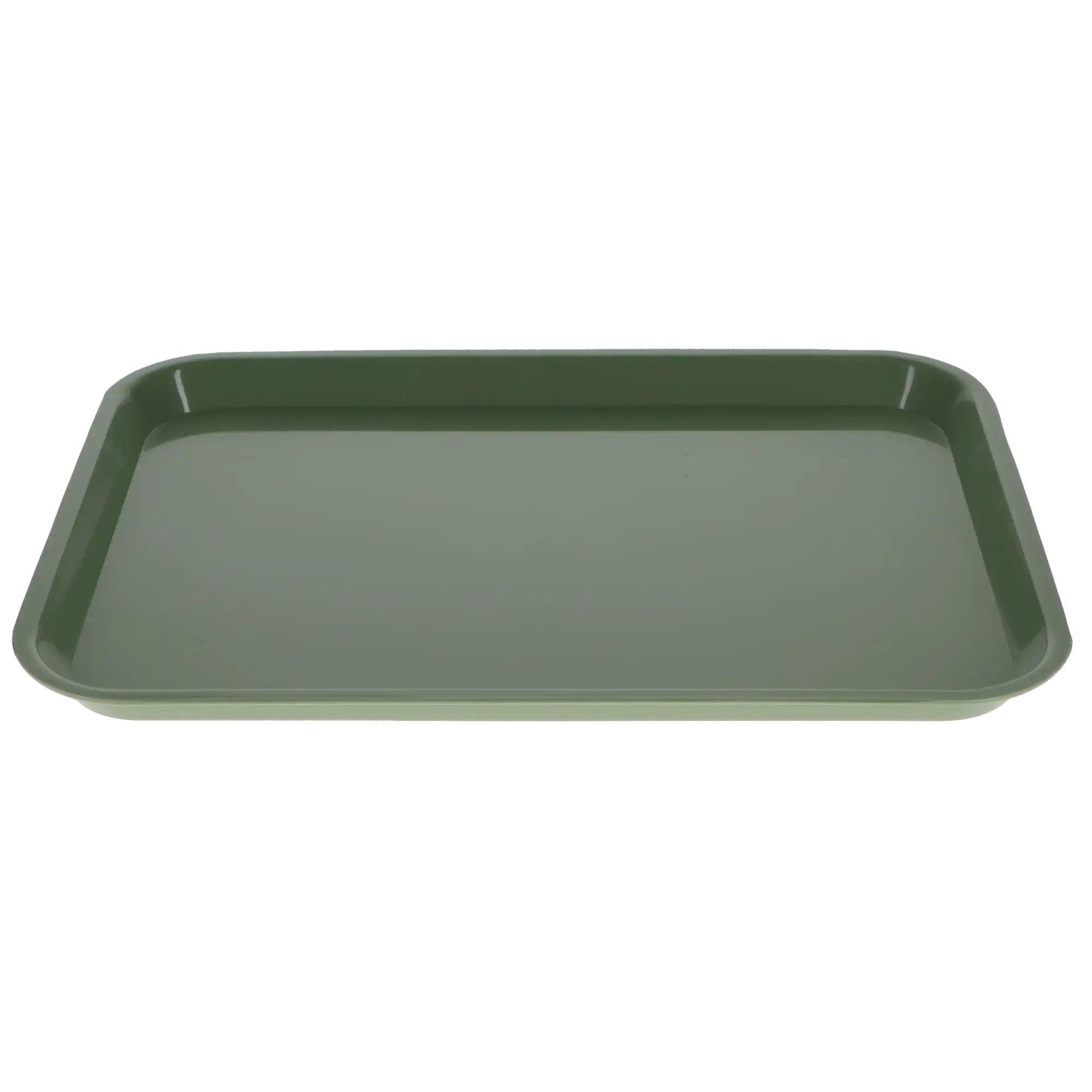 Plasdent Set-Up Flat Tray, Size B (Ritter), Green, Plastic, 13-1/2" x 9-5/8" x 7/8", 1/Pk, 300BF-4 thumbnail 4