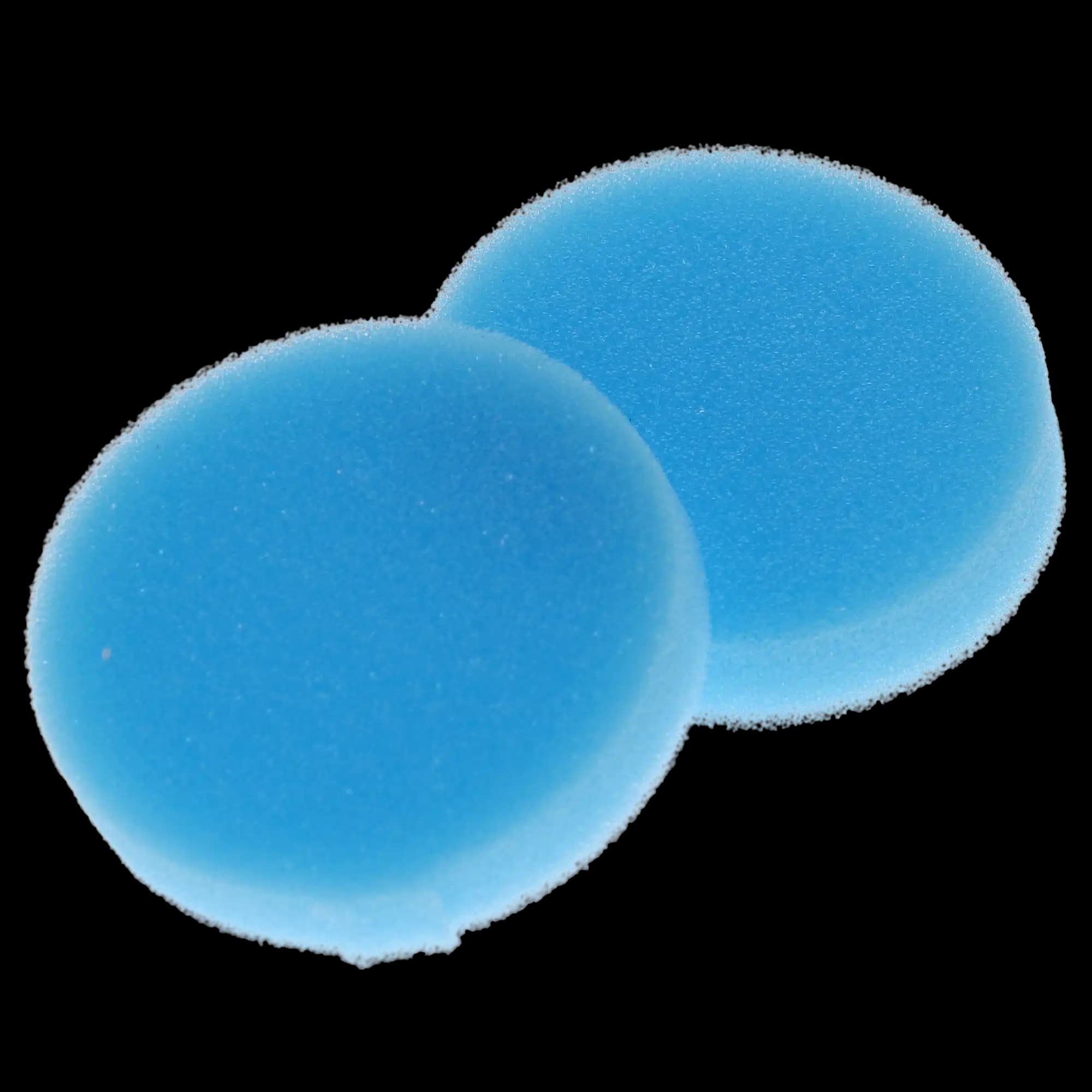 Plasdent Endo Sponge Foam Inserts, Round, Blue, 48/Pk, EFI(R)-2 thumbnail 3