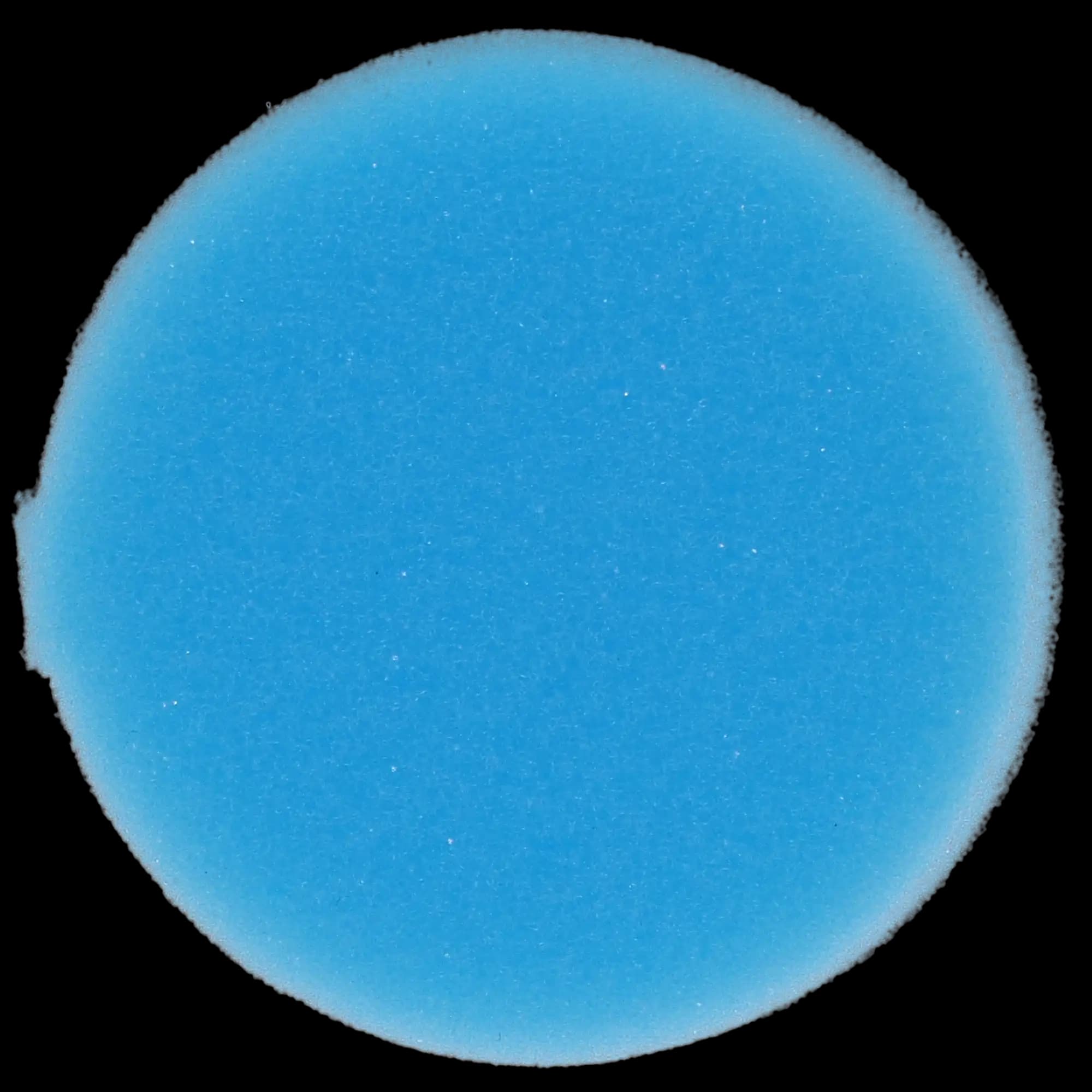 Plasdent Endo Sponge Foam Inserts, Round, Blue, 48/Pk, EFI(R)-2 thumbnail 6