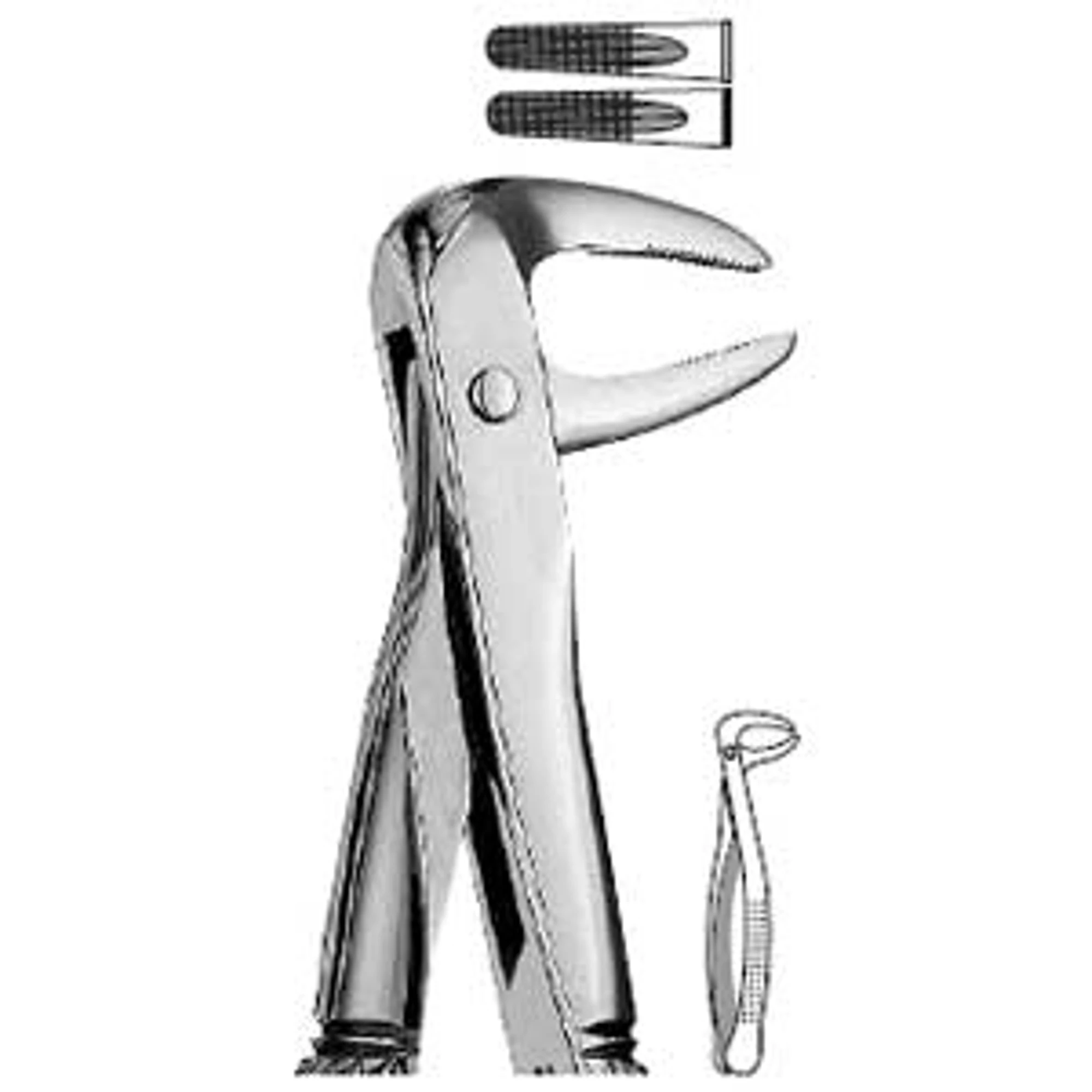 Hu-Friedy #74N European Style Root Extraction Forceps, Narrow Serrated Beaks, Lower Roots, FX74N thumbnail 2