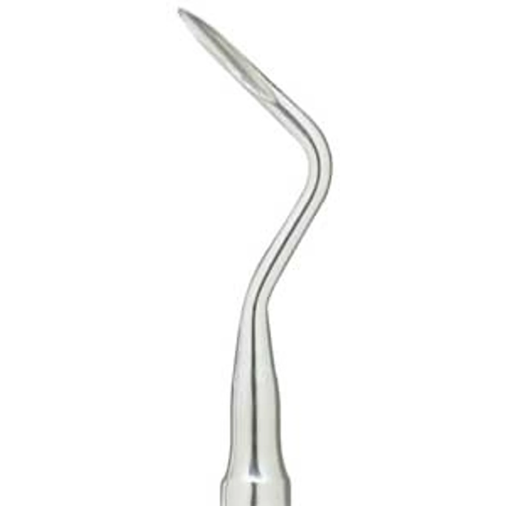 Miltex Root Tip Elevator #80, Single End, Right Pattern, Stainless Steel, DEL80 thumbnail 2