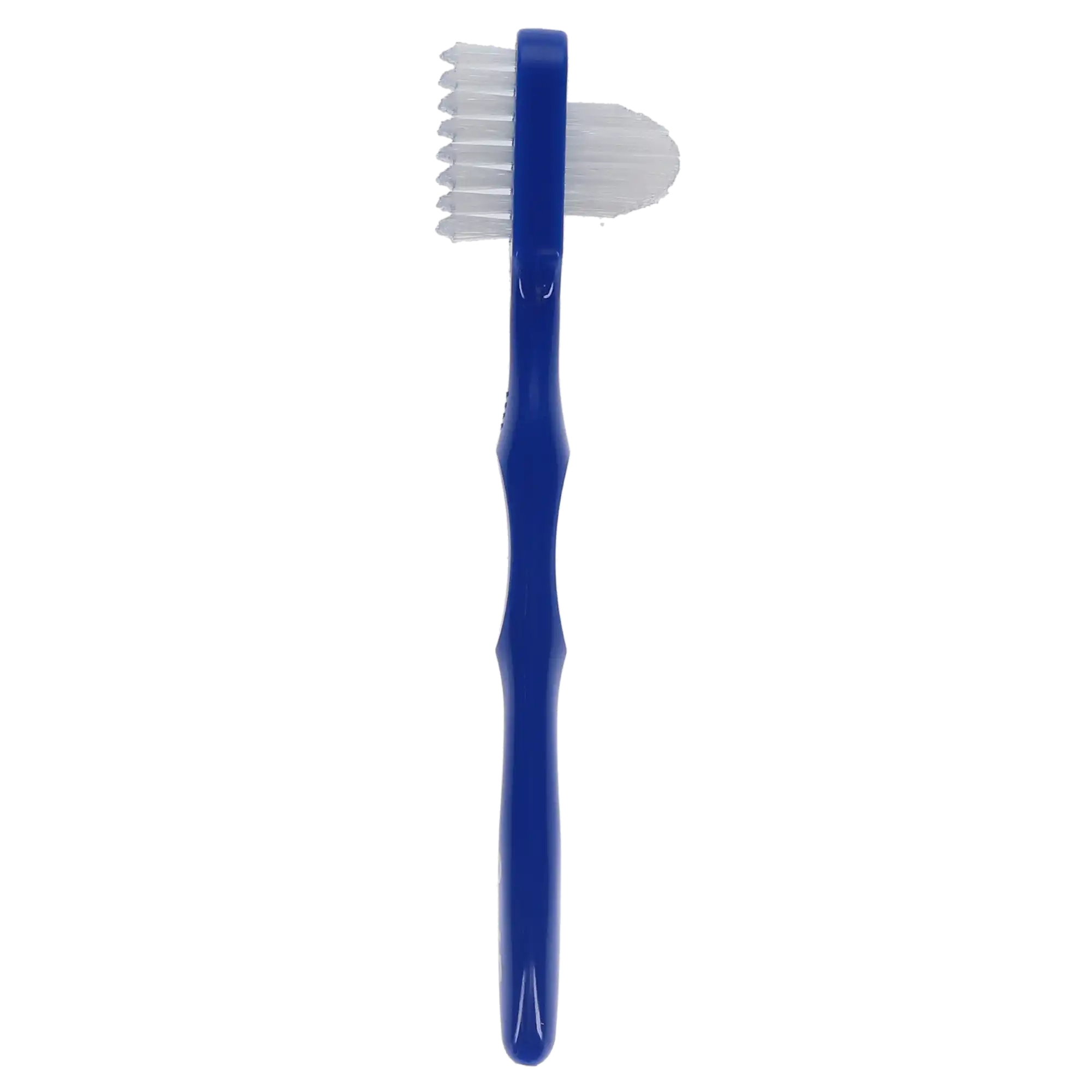 Oral-B Denture Brush, Dual Head, 35 Tuft, Blue Handle, 6/Box, 80310196 thumbnail 13
