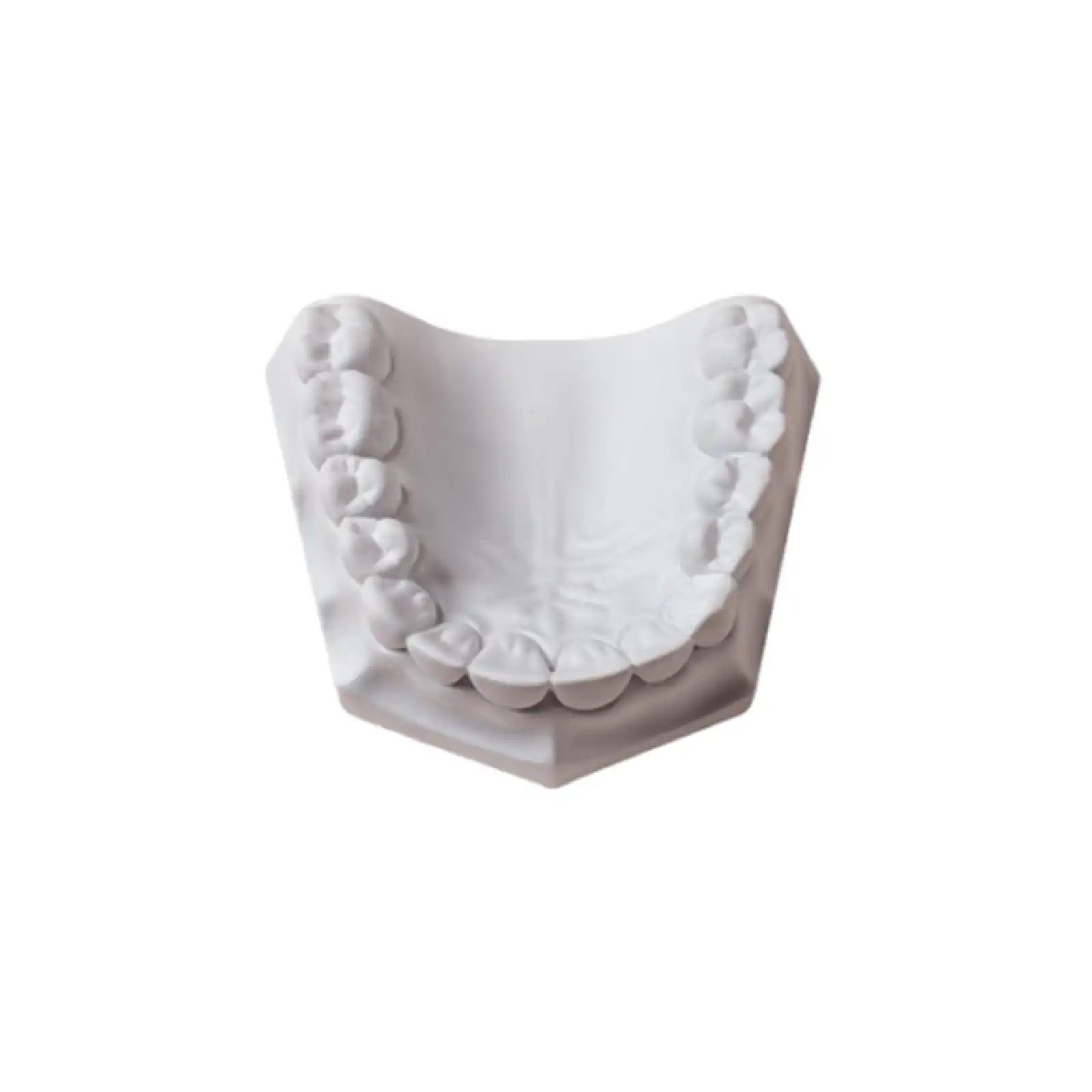 Whip Mix Orthodontic Plaster, Super White, ISO Type 2, 33 lb (15 kg) Carton, 330088 thumbnail 2