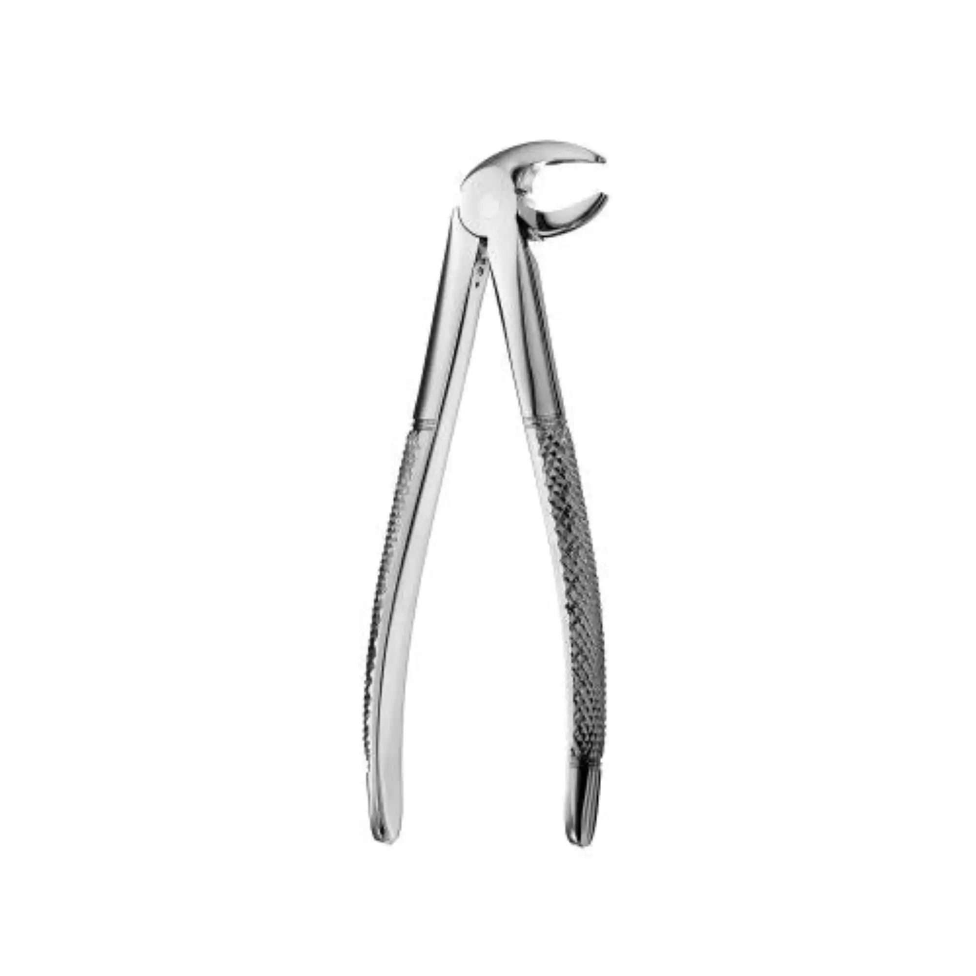 Hu-Friedy MD3 Mead Extraction Forceps, Serrated, Lower Incisors/Anteriors & Roots, FMD3 thumbnail 2