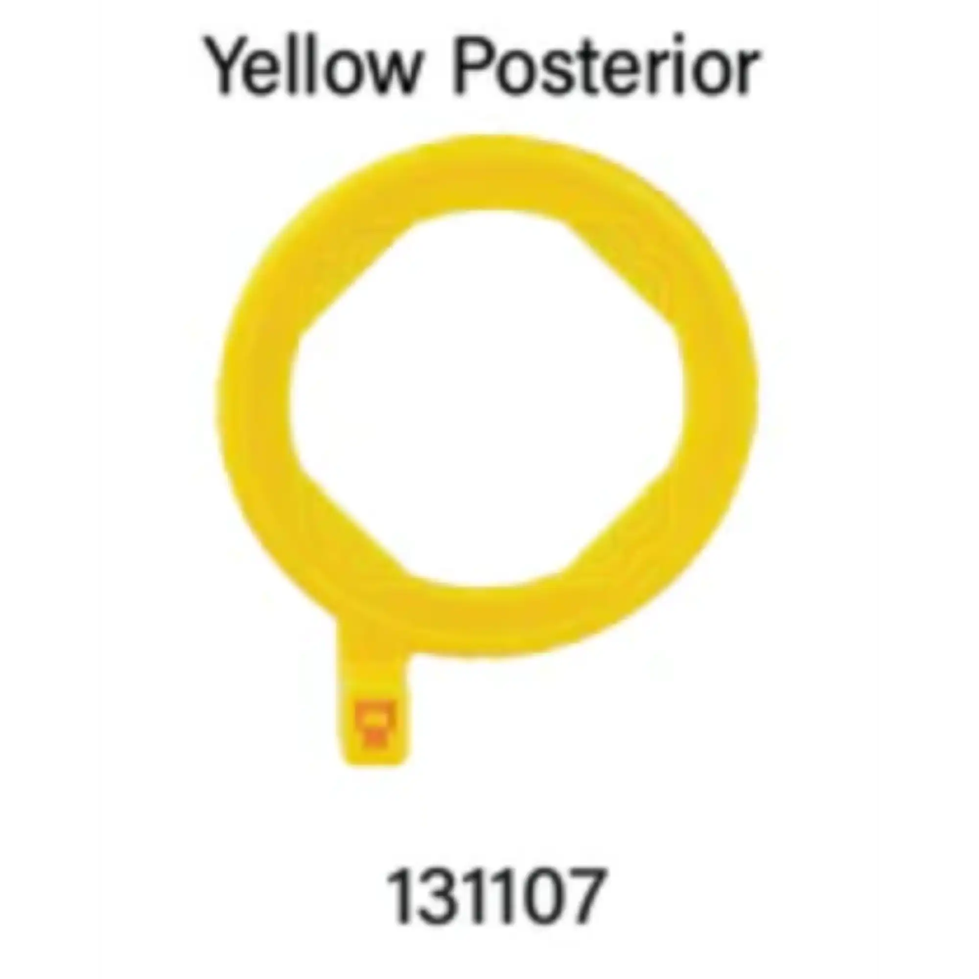 EzAim X-Ray Positioning System Autoclavable Posterior Positioning Ring, Yellow, 1/Pkg, 131107 thumbnail 3