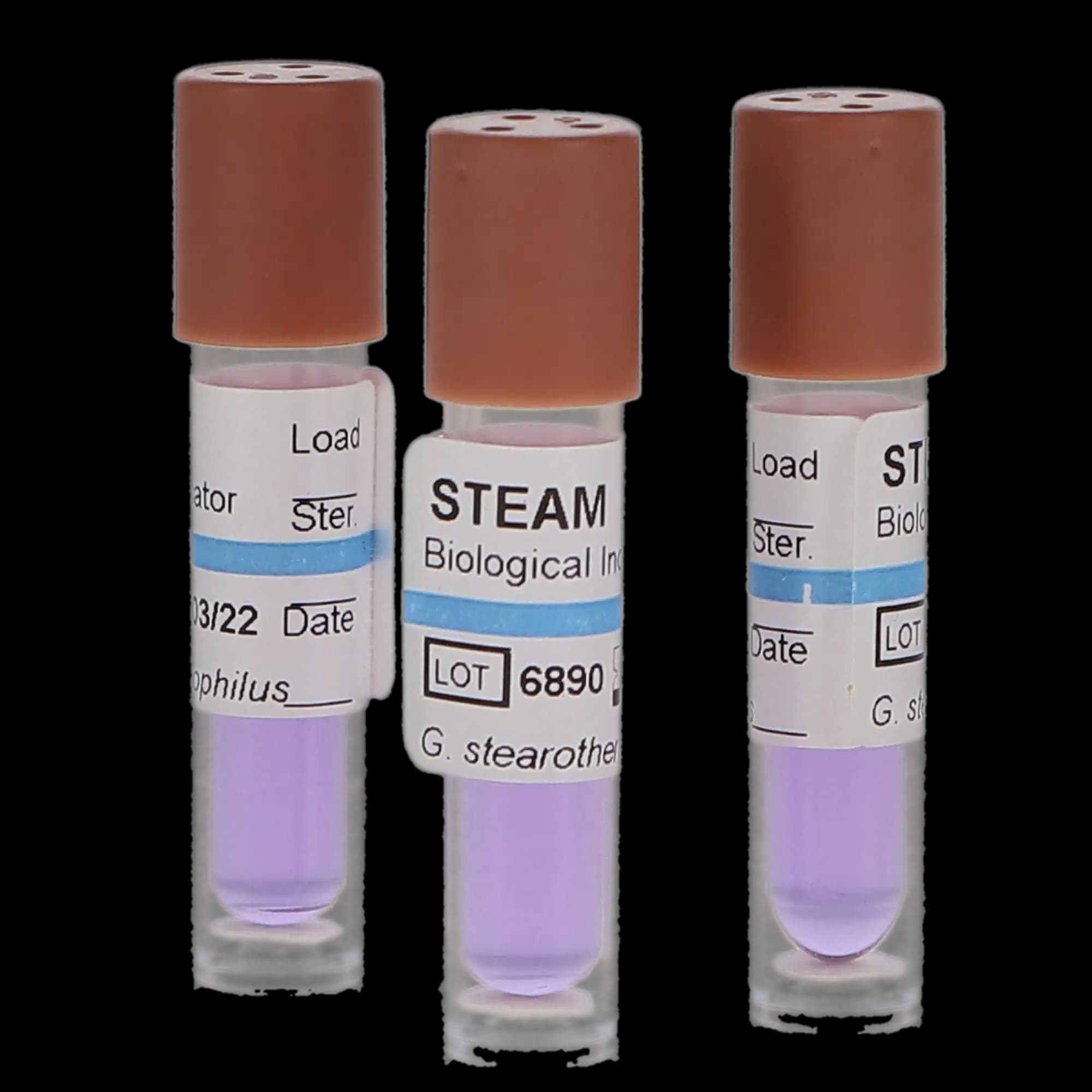 Crosstex SporView Self-Contained Steam Biological Indicators, 24-Hour, 100/Box, SCS-100 thumbnail 8