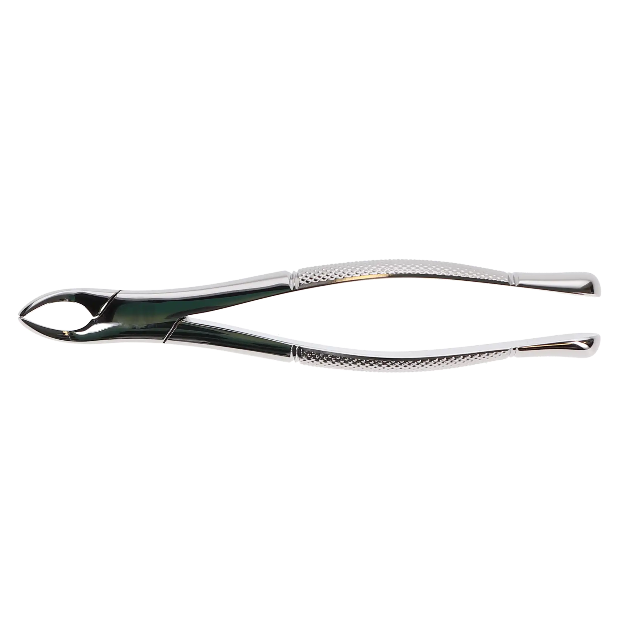 Hu-Friedy Presidential Cryer 150 Universal Extraction Forceps, Upper Incisors/Canines/Premolars/Roots, 6⅞", F150 thumbnail 6
