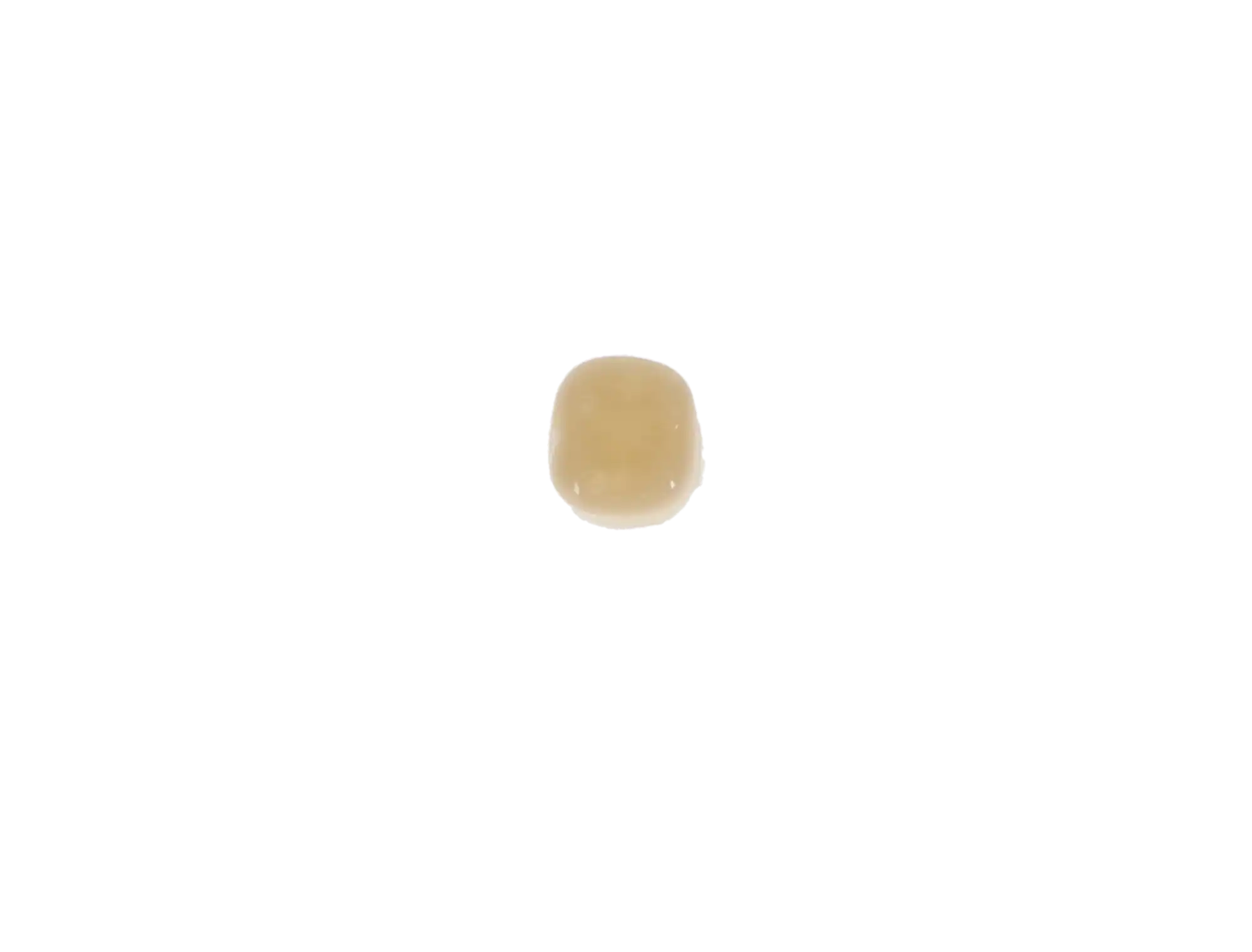 Protemp Crown Temporization Material, Adult Refill, Lower Large Molar, Universal Shade, 5/Pk, 50612 thumbnail 7