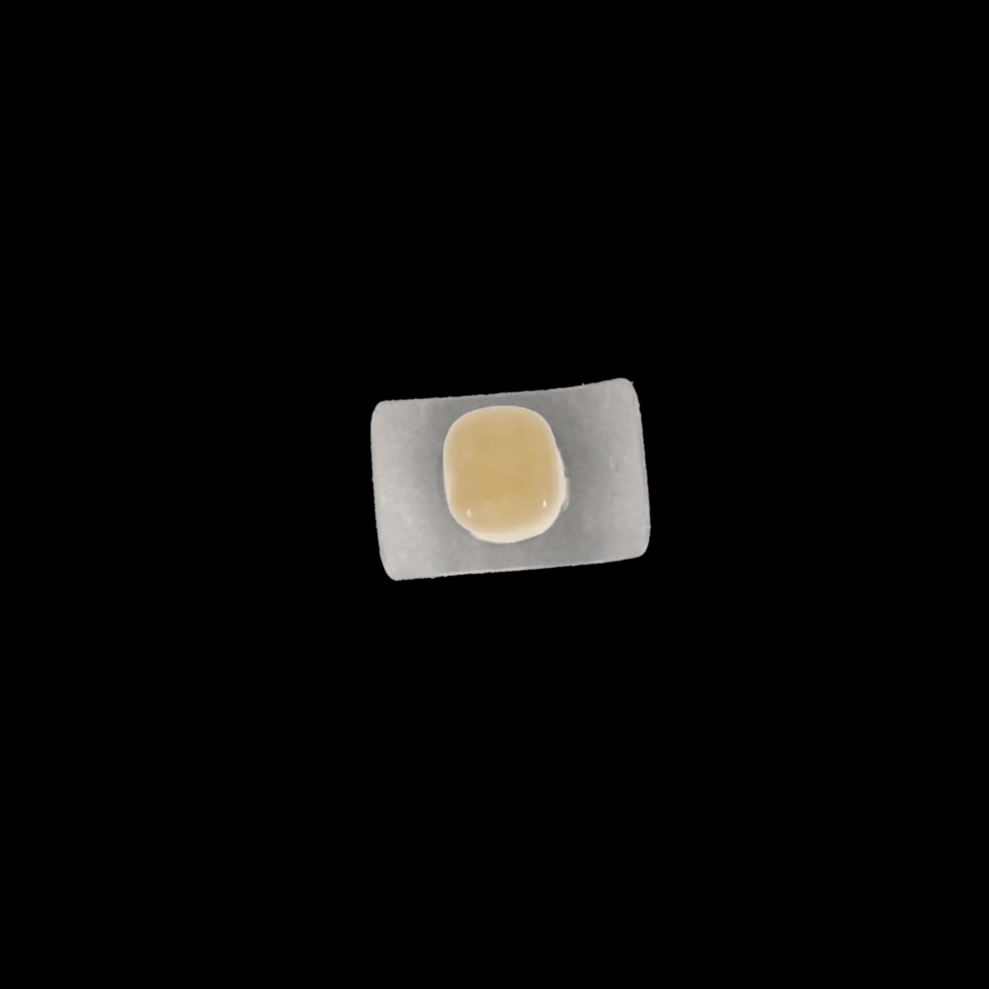 Protemp Crown Temporization Material, Adult Refill, Lower Large Molar, Universal Shade, 5/Pk, 50612 thumbnail 13