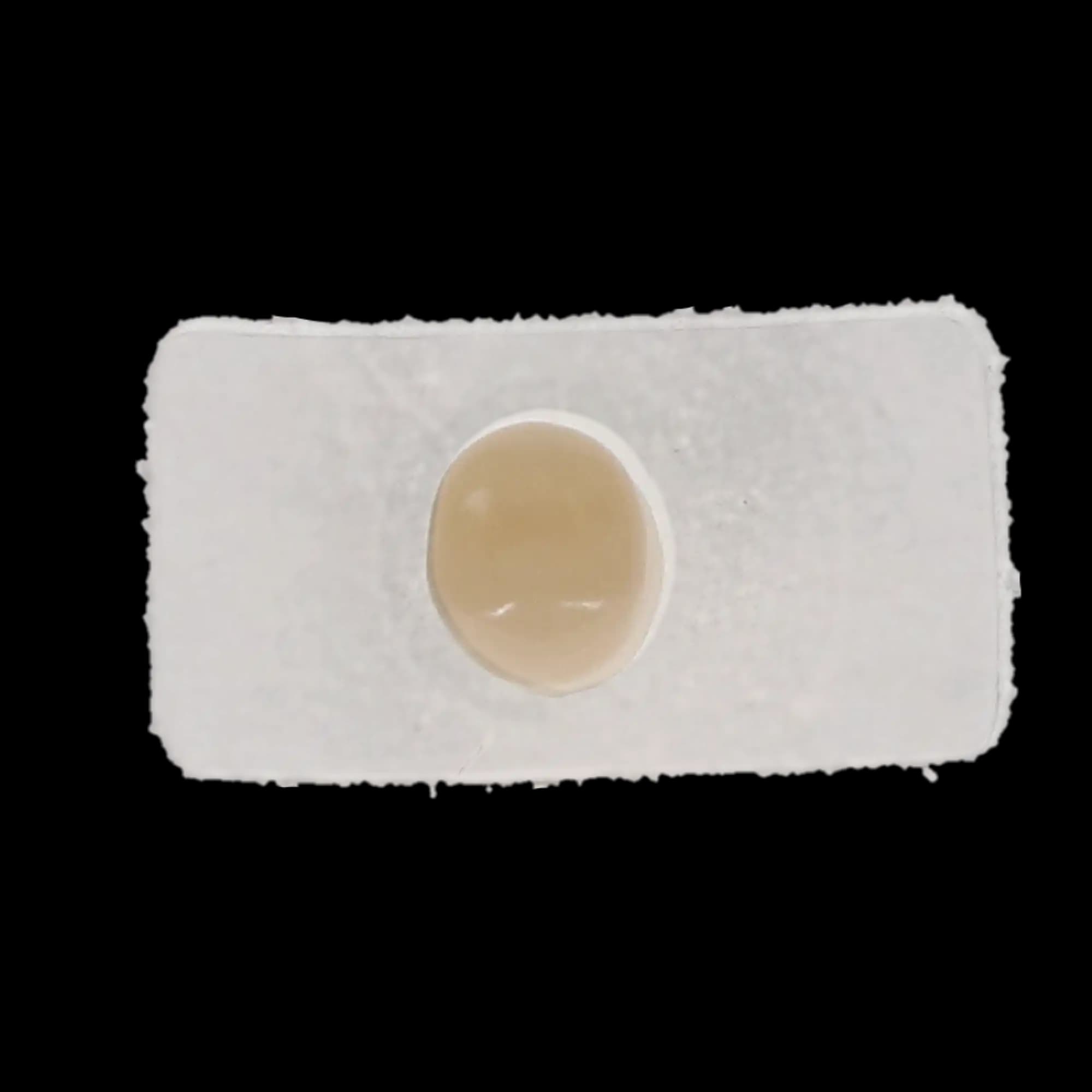 Protemp Crown Temporization Material, Adult Refill, Lower Bicuspid, Universal Shade, 5/Pk, 50616 thumbnail 7