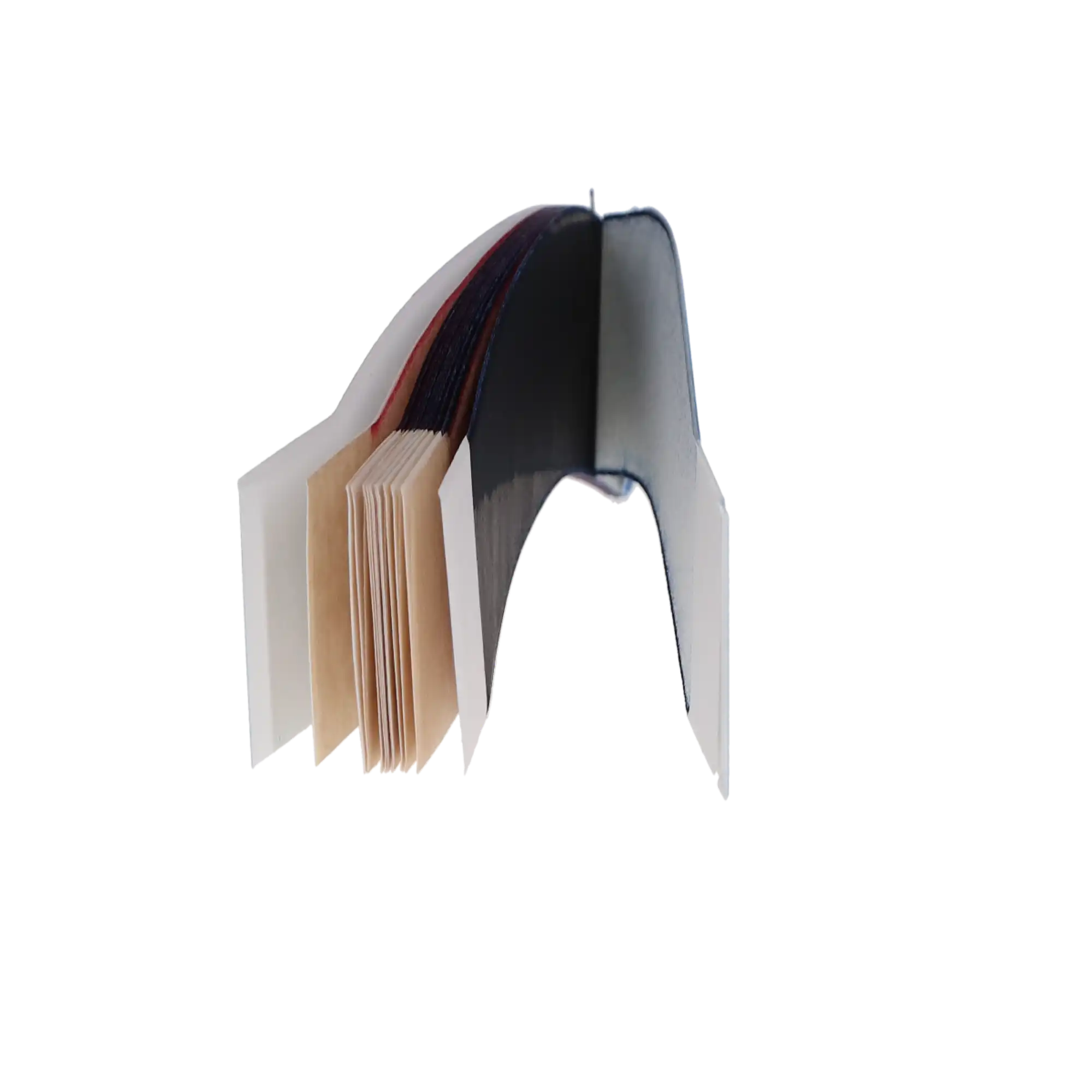 Surgident dispOral Articulating Paper, Curved, Red/Blue, 72 Microns, 12 Books/Box, 50099121 thumbnail 6
