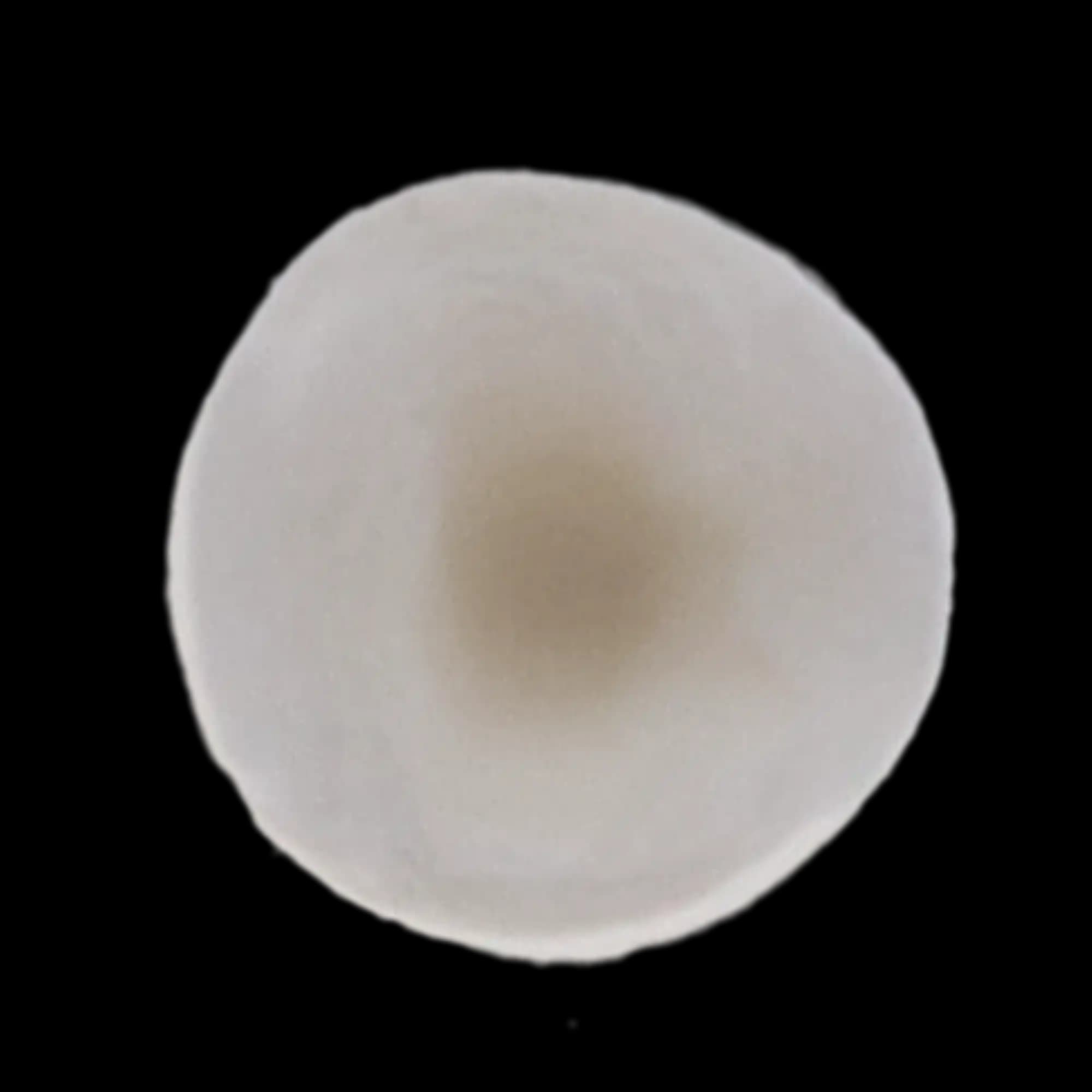 Premier Traxodent Retraction Caps, Size #3 Medium, Anatomic Formed Cotton, 120/Pk, 9048253 thumbnail 4