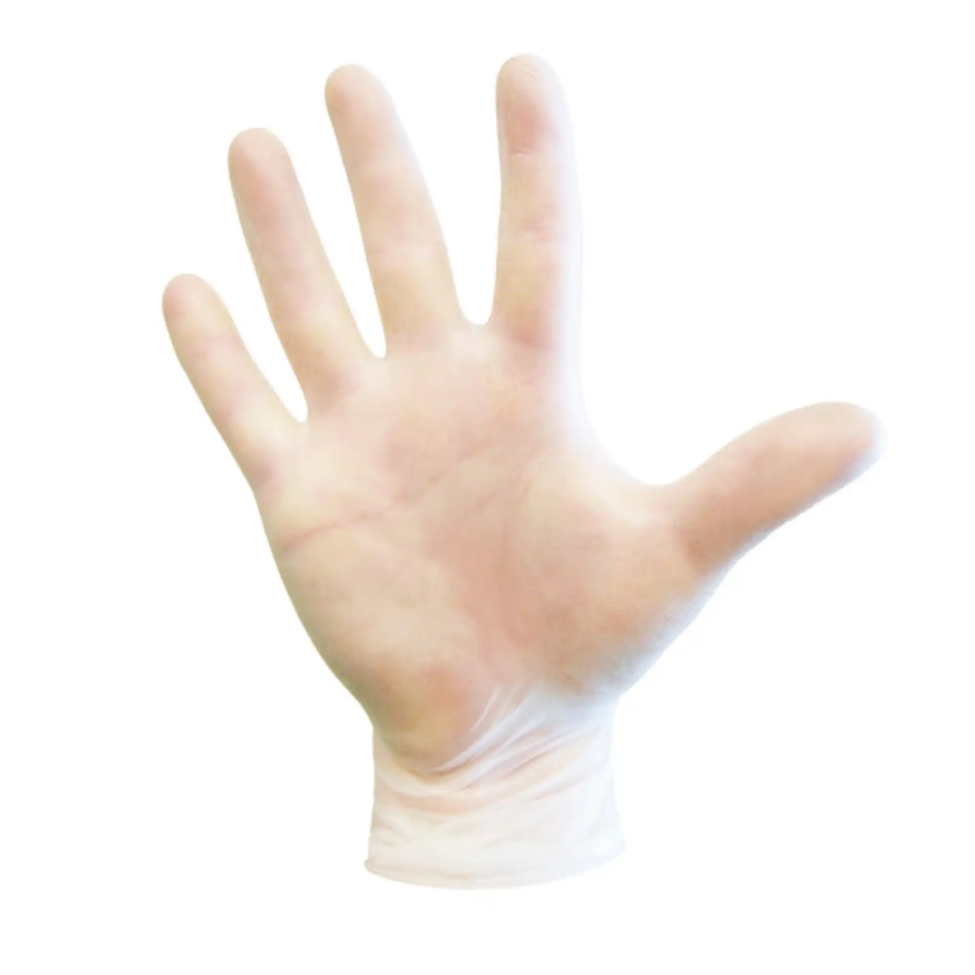 Dash Vinyl PF Exam Gloves, Powder-Free, Latex-Free, Clear, Medium, 100/Box, SPF100M thumbnail 9