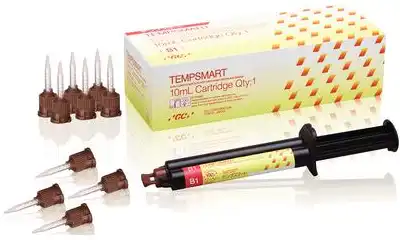 Tempsmart Temporary Crown & Bridge Material, Shade B1, 10 mL Syringe, 1:1 Cartridge, 009401 thumbnail 2